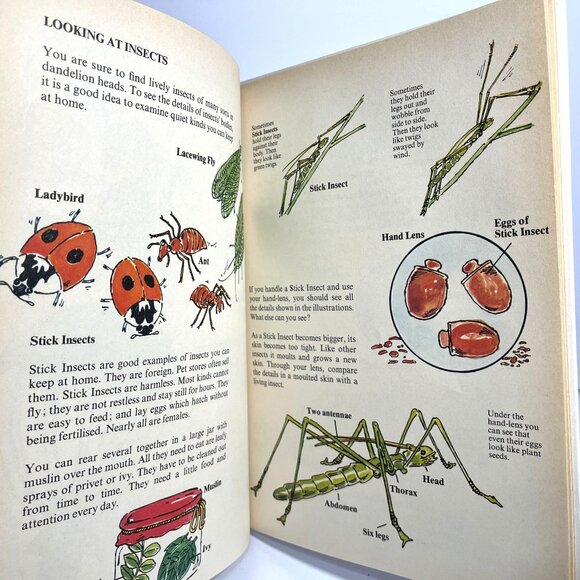 Wonder Why Book Of Fun With A Magnifying Glass By Arnold Darlington 1978 - Picture 5 of 6